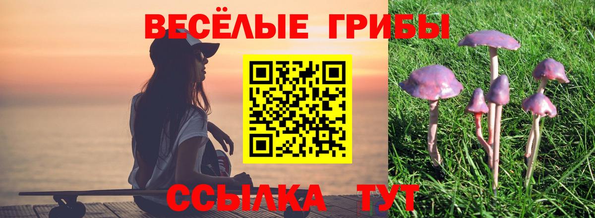 Магадан  Псилоцибиновые грибы Psilocybine cubensis  Вход с VPN 