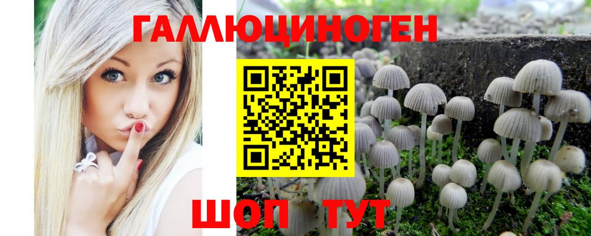 Псилоцибиновые грибы MAGIC MUSHROOMS Магадан